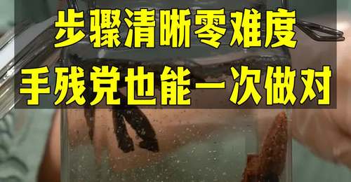 2025多元养生体验:跟着教程动手做肉苁蓉泡酒,新手也能轻松get零门槛玩法