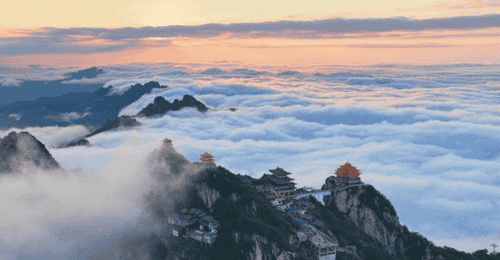 报名景区摄影师挑战竟踩了浪漫陷阱？月薪6万看云海的福利竟是免费打工局