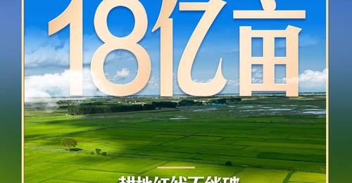 习近平再提耕地红线:粮食安全的生命线