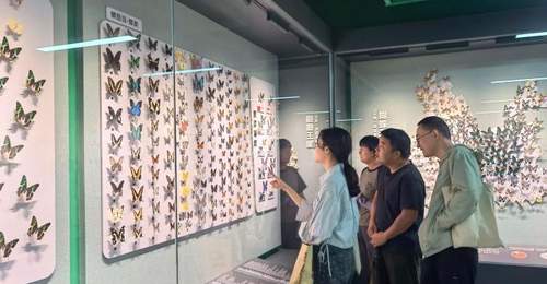 昆明推出“探秘昆虫王国”展 科普生态知识