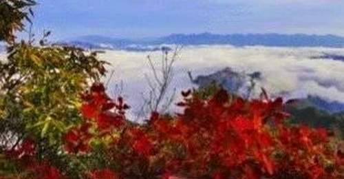 错峰出行!白河庙山寨景区日最大承载量公布!