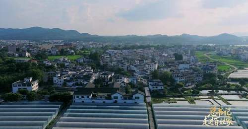 总书记走进百姓家|让老区人民过上幸福生活