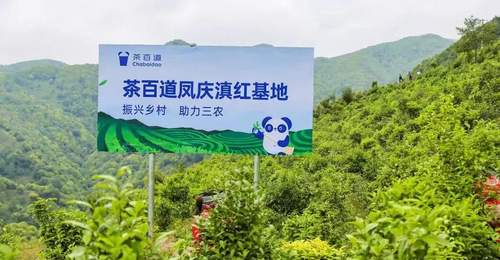 茶饮圈“冷”思考:新茶饮的生态换挡与供应链角力