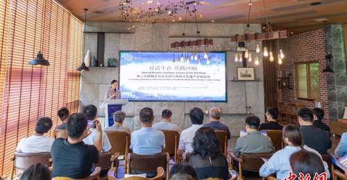 中外学者南京共话海上丝绸之路文化遗产保护传承