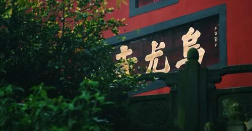 小众还免费！就在乐山城边上！快去森系徒步拍花海啦~