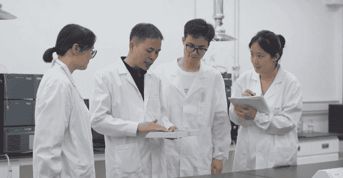 虎林:“绿叶”到“金叶” 刺五加茶擦亮特色产业金名片