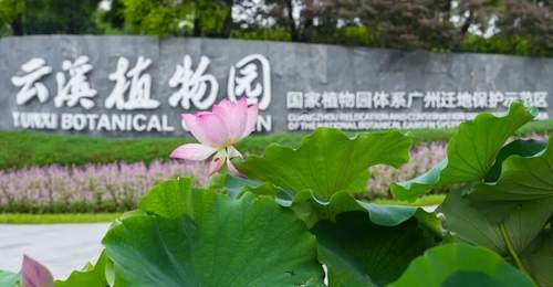 不设限、“零门槛”——白云山云溪植物园打造便民赏花“新标杆”