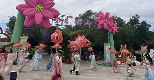 鸣翠湖荷花节:国风避暑,赏荷泛舟逛市集解锁夏日新体验