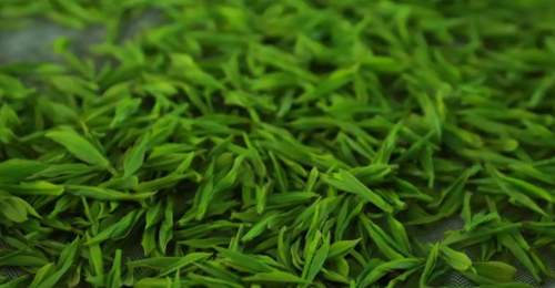 茶叶放几年还能喝?不同种类解析保质期