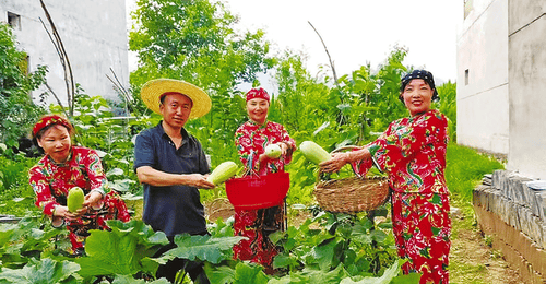 秦岭避暑经济升温:深山村落成游客养生胜地