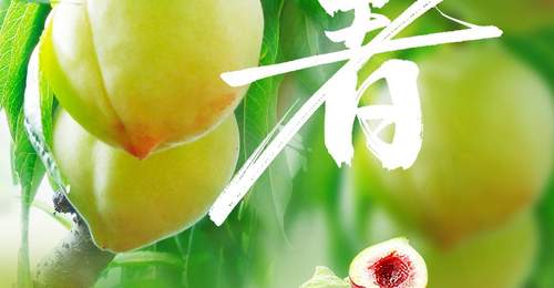 优时节 | 大暑蒸炎夏 桃尖沁绯红