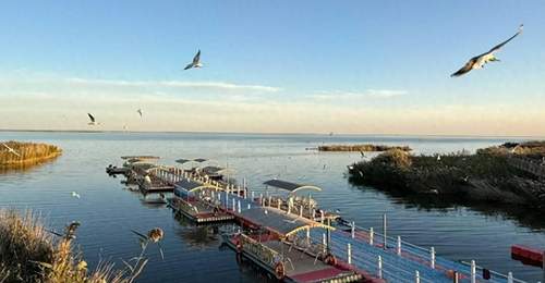 来居延海游玩的人看过来！住宿选哪里？从湖畔木屋到边陲酒店，多元参与体验全知道