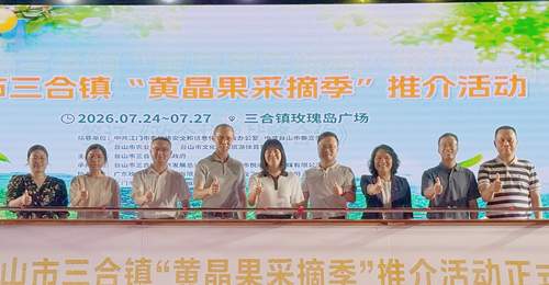 台山三合镇邀你玩转暑假 摘黄晶果享漂流泡泉住特色宿