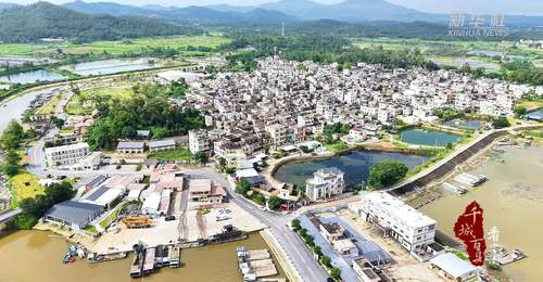 来广东阳西程村红光村!白天逛红树林展馆,夜晚享营地音乐烟火,夏日打卡双重乐趣