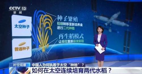 天宫十载太空种出百样鲜 邀你解锁中国航天员的“太空菜园”故事