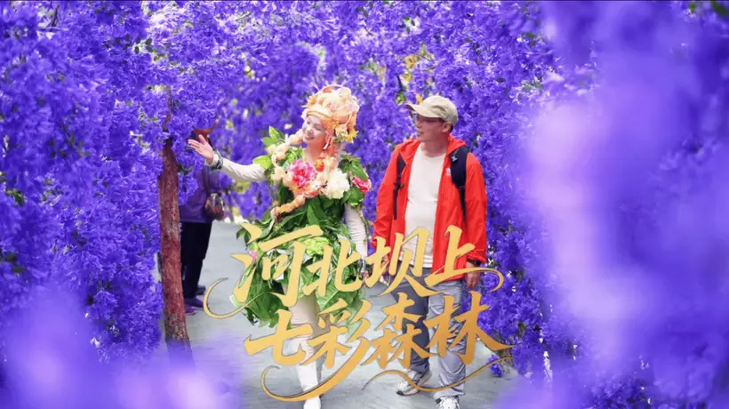 北京周边避暑天花板！16℃的丰宁七彩森林，遛娃度假一站式全搞定