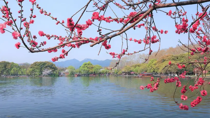 和爸妈的古镇之旅
