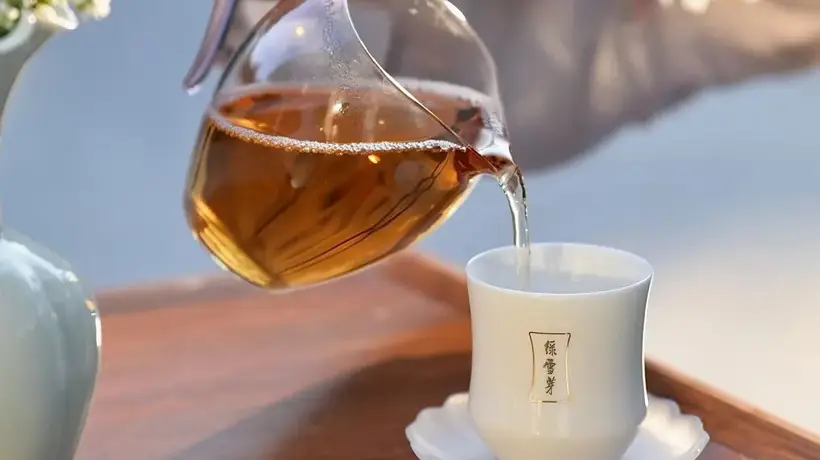 太姥山与绿雪芽:福鼎白茶的双向奔赴与共生交响