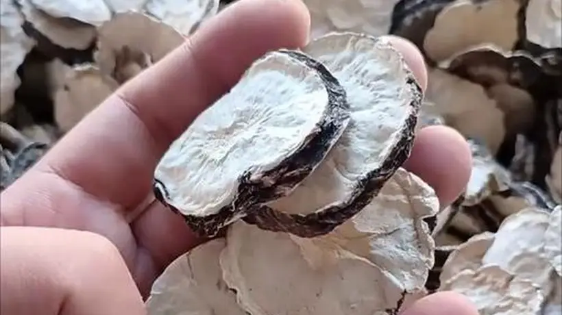 泡玛卡酒没掌握配比?别浪费好原料,跟着做精准配方酿出滋补好酒体验