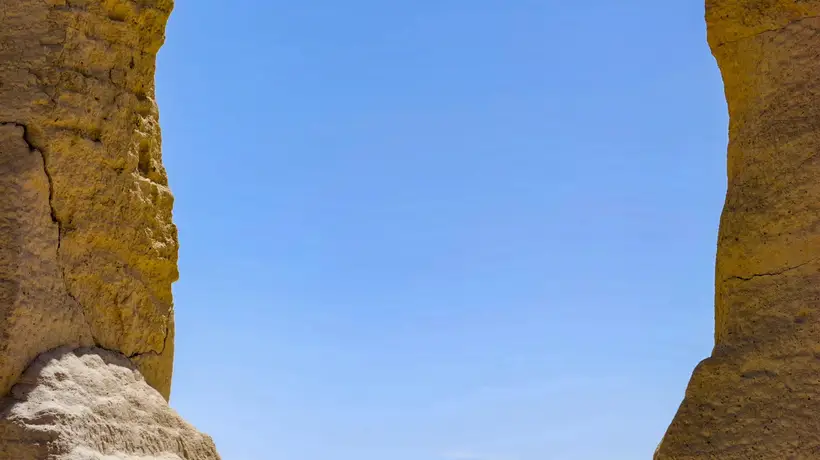 青海甘肃大环线野生花海打卡，多元活动让西北之行更舒心