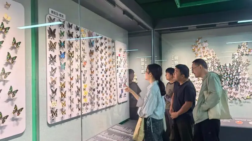 昆明推出“探秘昆虫王国”展 科普生态知识