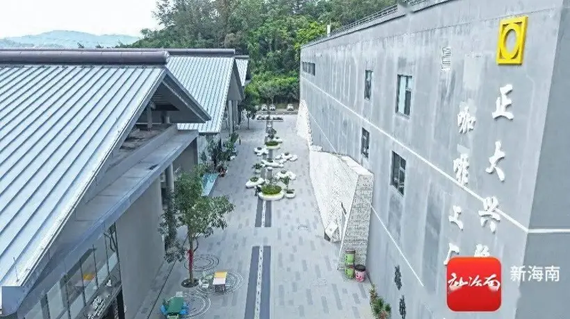 从侨乡记忆到世界舞台:一杯兴隆咖啡的振兴之路