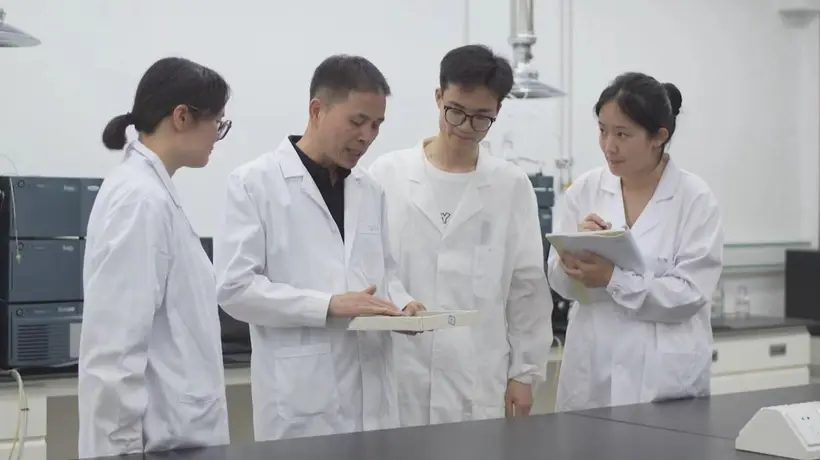 虎林:“绿叶”到“金叶” 刺五加茶擦亮特色产业金名片