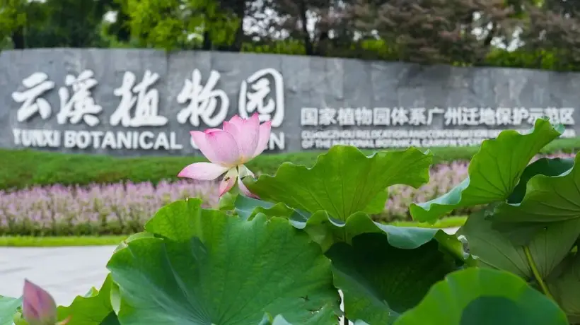 不设限、“零门槛”——白云山云溪植物园打造便民赏花“新标杆”