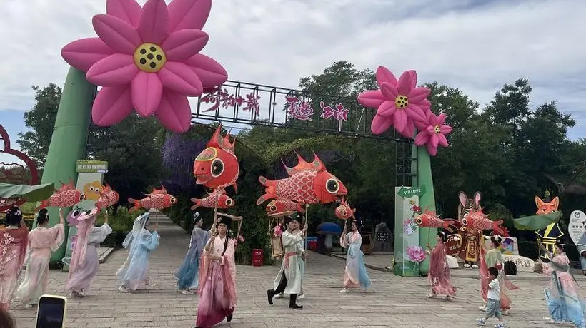 鸣翠湖荷花节:国风避暑,赏荷泛舟逛市集解锁夏日新体验
