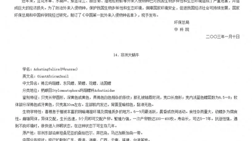 出门遛弯见大蜗牛?带盐袋随手撒 多地已现踪迹 北方得趁早盯紧这“蜗牛杀手”