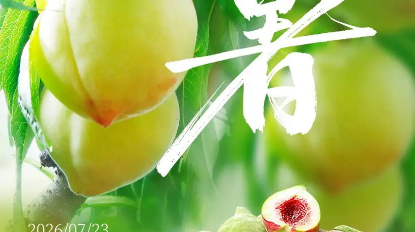 优时节 | 大暑蒸炎夏 桃尖沁绯红