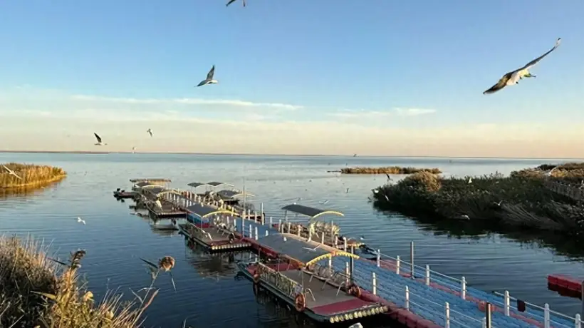 来居延海游玩的人看过来！住宿选哪里？从湖畔木屋到边陲酒店，多元参与体验全知道