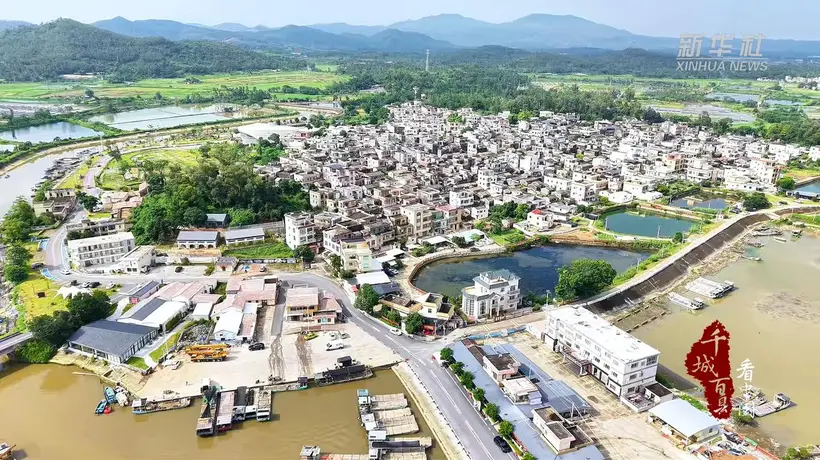 来广东阳西程村红光村！白天逛红树林展馆，夜晚享营地音乐烟火，夏日打卡双重乐趣
