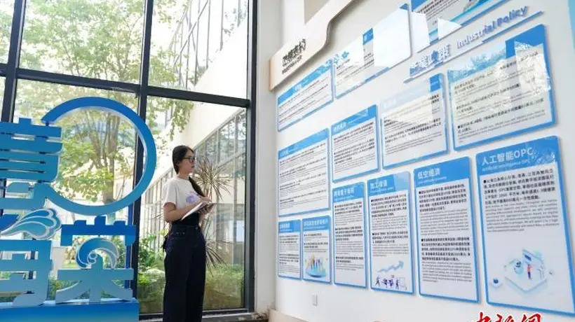 港澳大学生参与自贸港逐浪计划 亲身体验三亚从旅游小城到国际新城的蜕变