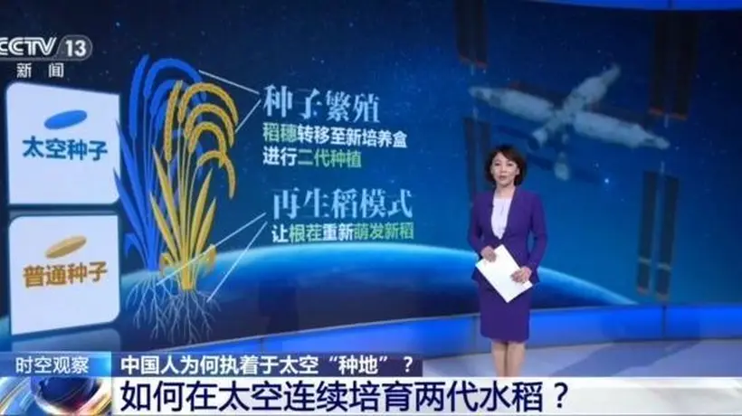 天宫十载太空种出百样鲜 邀你解锁中国航天员的“太空菜园”故事