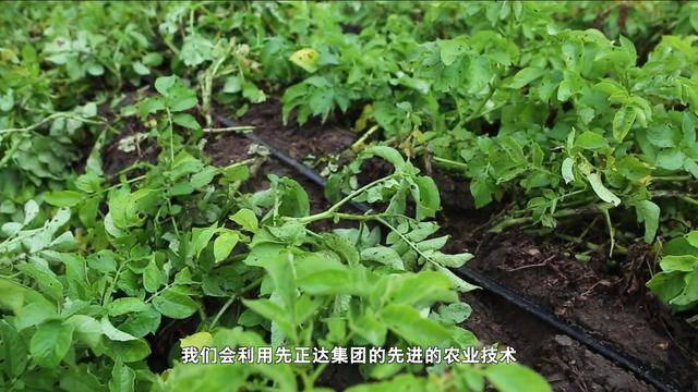 2026年6月27日 新华纵横（成品）
