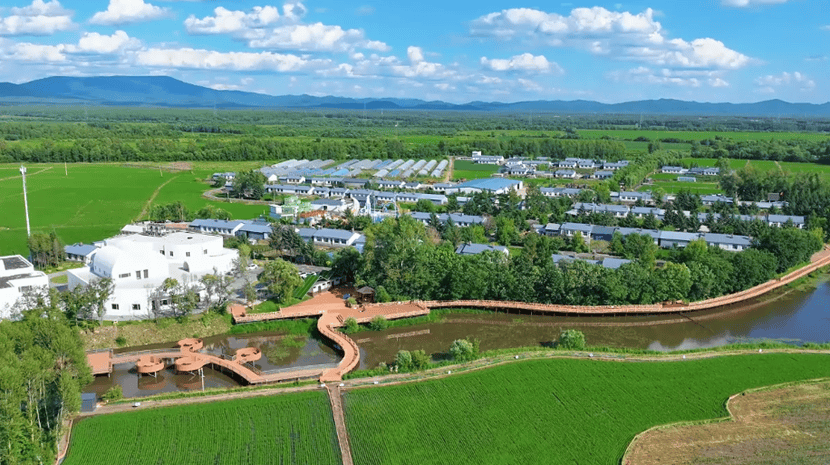 特色蓝靛果采摘游 激活乡村夏日文旅活力