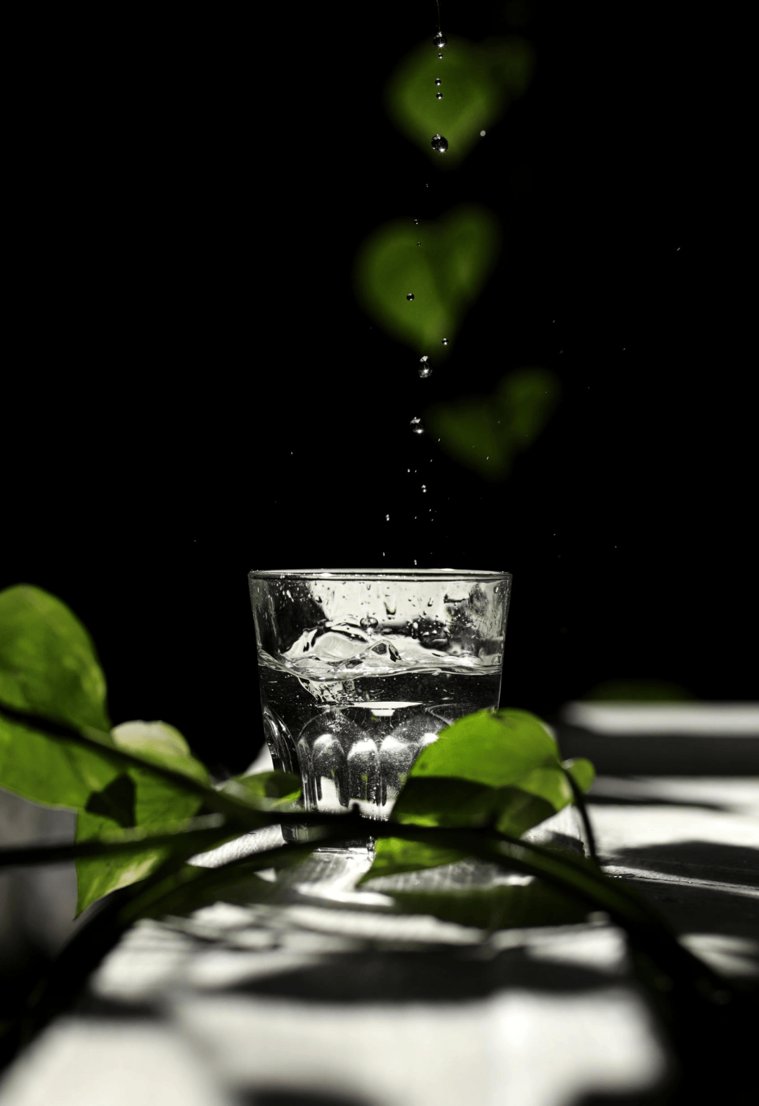 53度之外，酱酒的更多可能