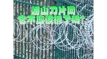 崂山被曝布设泰山同款“刀片网”，当地独家回应