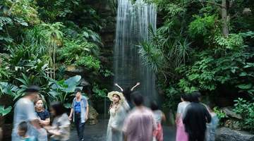 太原植物园清凉游玩攻略，避暑出片两不误！