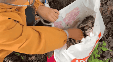 孩子哥识破游客毒蘑菇陷阱救几条命