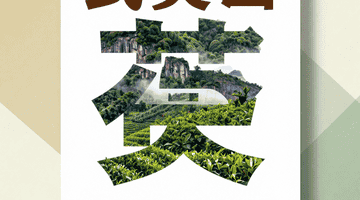 武夷山邀你沉浸式体验 敬师制茶点茶寻茶中解锁文化治愈时光