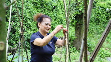 乌当避暑季多元活动引客来 旅居生活成游客长期安居新选择
