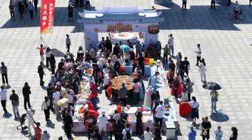 桦川:盛会铺展振兴图 稻乡新声响彻三江