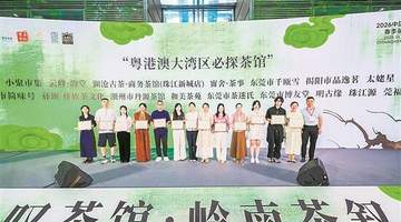 深山蜜香走进湾区万千茶席