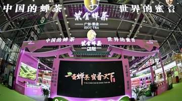 独家丨被“绿蝉”吻过的叶子,如何“酿”出35亿富民产业?