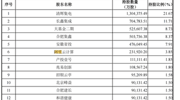 持股比朱一明还多,Ta凭啥能重仓长鑫科技?