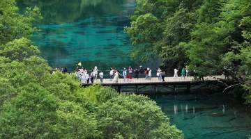 网传九寨沟湖水靠颜料染色?纯属虚假谣言