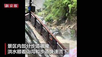 云南虎跳峡景区强降雨致房屋倒塌,山洪沿着步道流下,景区已暂停营业