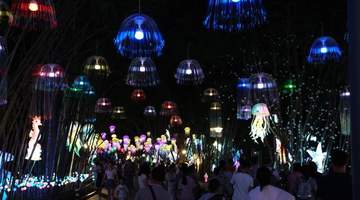 “南宁夜花园”活动暑期引客夜游 千亩光影区亮灯开放